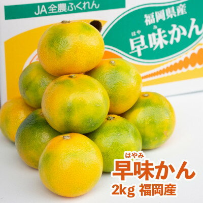 名称 福岡産みかん・早味かん(約2kg)(大野城市) 保存方法 常温 発送時期 2024-09-16～2024-10-10 提供元 NPO法人　三悠プロセス 配達外のエリア 離島 お礼品の特徴 生育期間がほかの品種に比べて短く、福岡県農林業総合試験場で開発された、新ブランドのみかんです。 9月10月にかけて出回る極早生みかんは、着色が早く、酸味が少ないのが特徴です。 ジューシーな果汁と酸味と甘味の絶妙なバランスを是非一度お試しください。 ■お礼品の内容について ・早味かん[約2kg] 　　原産地:福岡県 　　賞味期限:出荷日+5日 ■注意事項/その他 ※画像はイメージです。 ※箱のデザインが異なる場合がございます。 ・ふるさと納税よくある質問はこちら ・寄附申込みのキャンセル、返礼品の変更・返品はできません。あらかじめご了承ください。このお礼品は以下の地域にはお届けできません。 ご注意ください。 離島