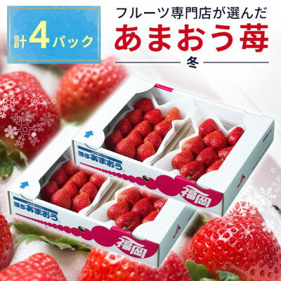 福岡産 [冬] あまおう 4パック ( 大野城市 ) _ いちご 苺 イチゴ ギフト プレゼント 贈り物 送料無料 [配送不可地域:離島]