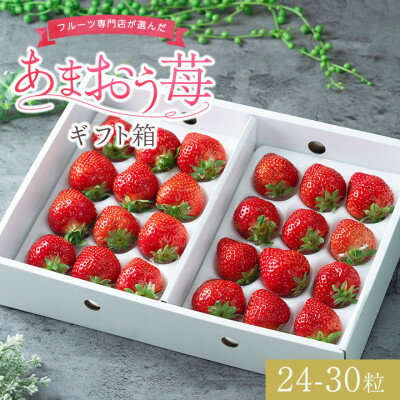 福岡産あまおうギフト箱(24-30粒)(大野城市)【配送不可地域：離島】【1287742】