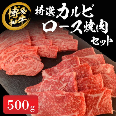 《博多和牛》特選カルビ・ロース焼肉セット500g【配送不可地域：離島】【1355749】