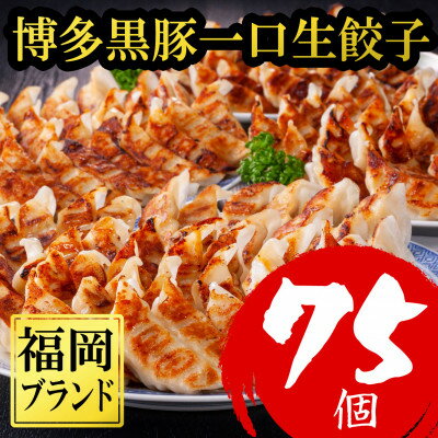 【ふるさと納税】【令和6年1月中に終了】【訳あり75個】【福岡ブランド】博多黒豚一口生餃子県産ラー麦(大野城市)【配送不可地域：離島】【1382192】のサムネイル