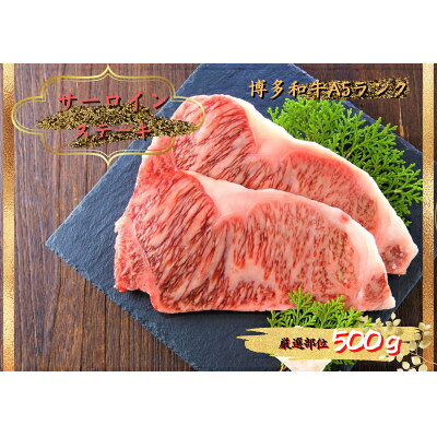 2023年2月発送開始『定期便』博多和牛A5サーロインステーキ500g(250g×2枚)全6回【配送不可地域：離島】【5100565】