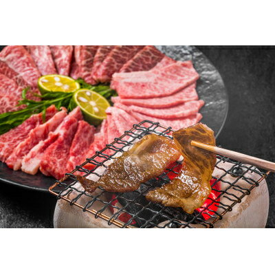 2022年12月発送開始『定期便』博多和牛A5焼き肉用【厳選部位】(500g)全6回【配送不可地域：離島】【5100599】