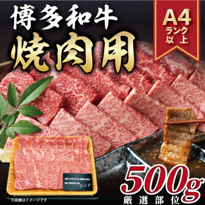 2023年9月発送開始『定期便』博多和牛焼き肉用 500g 全3回【配送不可地域：離島】【5149189】
