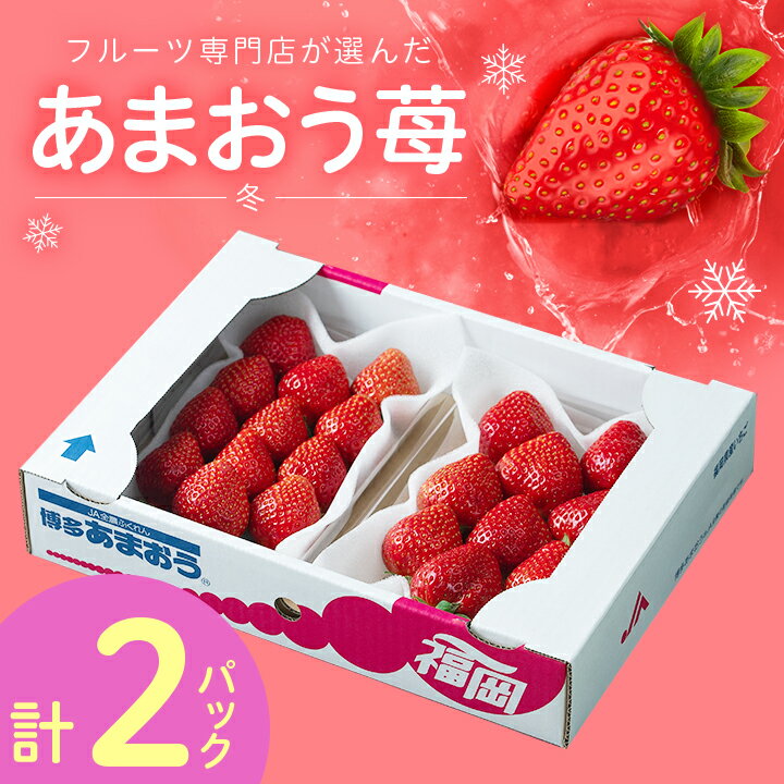 【ふるさと納税】フルーツ専門店が選んだ「あまおう苺」冬2パック(大野城市)【配送不可地域：離島】【1083235】