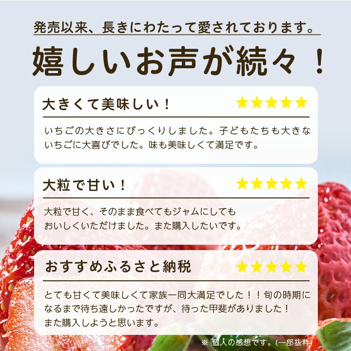 【ふるさと納税】 フルーツ専門店が選んだ「あまおう苺」春 4パック ( 大野城市 ) _ いちご 苺 イチゴ あまおう ギフト プレゼント 贈り物 送料無料 【配送不可地域：離島】【1083237】