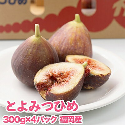 福岡限定!ブランドいちじく「とよみつひめ」約300g×4パック(大野城市)[配送不可地域:離島、北海道、沖縄県、東北]