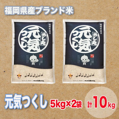 【ふるさと納税】福岡県産ブランド米元気つくし(合計10kg)_ 米 こめ お米 コメ おこめ 元気つくし ブランド米 合計10kg 5kg×2袋 精米 白米 ご...