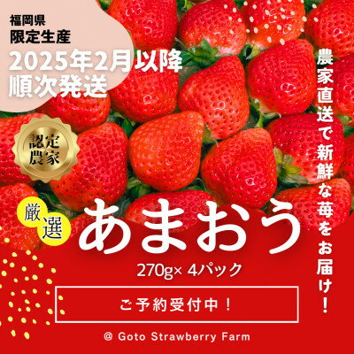 [先行予約/2025年]福岡県産あまおう 約270g×4パック[2025年2月以降順次発送][配送不可地域:離島]