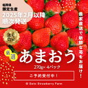 【ふるさと納税】【先行予約】あまおうプレミアム 約270g×4パック(農家直送)【配送不可地域：離島】【1460845】