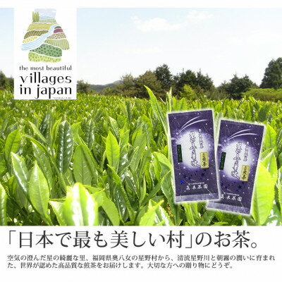 奥八女星野村 深蒸し高級煎茶(深蒸し茶)100g×2袋【1463198】