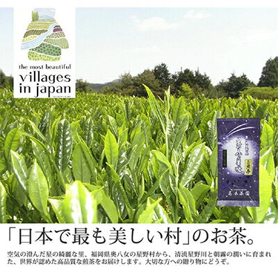 【毎月定期便】奥八女星野村 深蒸し高級煎茶(深蒸し茶)100g×1袋 全6回【4008833】