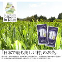 【ふるさと納税】【毎月定期便】奥八女星野村 深蒸し高級煎茶(深蒸し茶)100g×2袋 全6回【4008834】