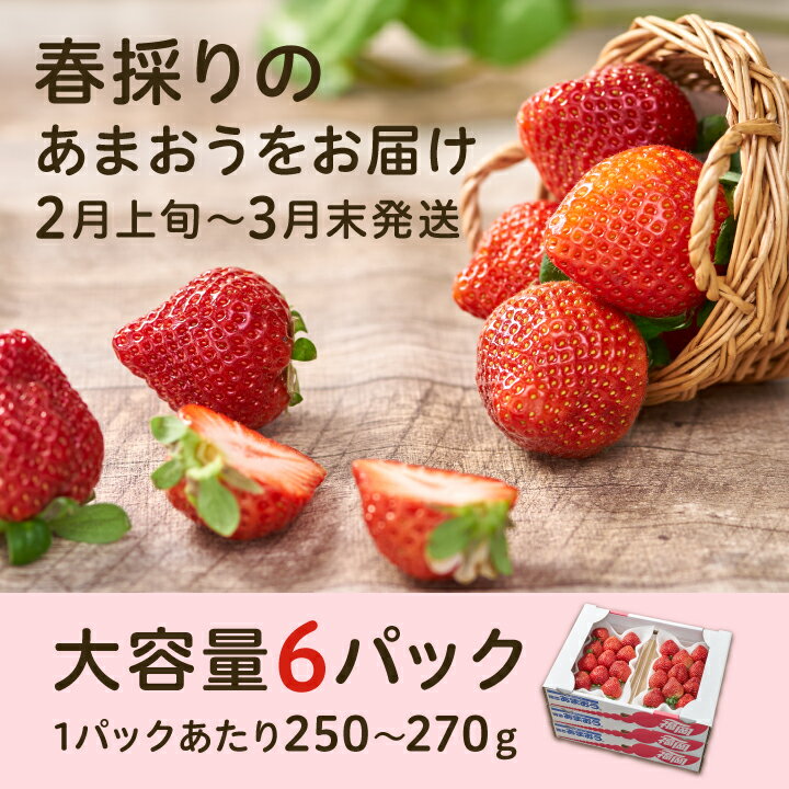 【ふるさと納税】フルーツ専門店が選んだ「 あまおう苺 」 春 6パック ( 大野城市 ) _ 約1500g 1.5kg いちご イチゴ 苺 あまおう フルーツ 果物 くだもの 送料無料 デラックス DX グランデ 箱 ギフト 贈り物 プレゼント 博多 ストロベリー【配送不可地域：離島】【1083968】