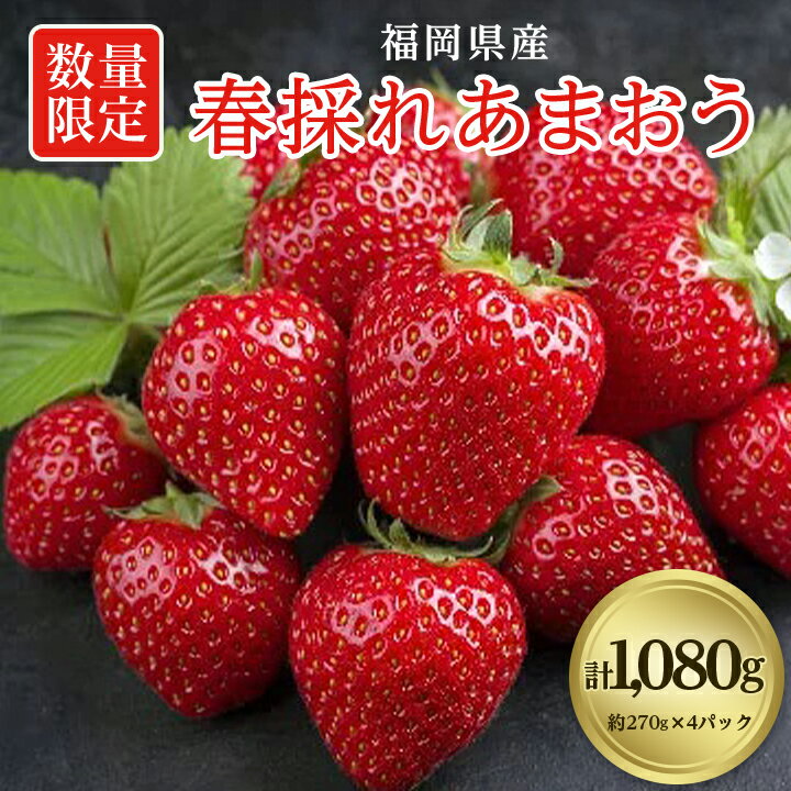 【数量限定】福岡県産あまおう270g×4パック【R7年2月発送開始】_ 春採れ イチゴ いちご ギフト プレゼント 贈り物 送料無料 【配送不可地域：離島】【1277506】