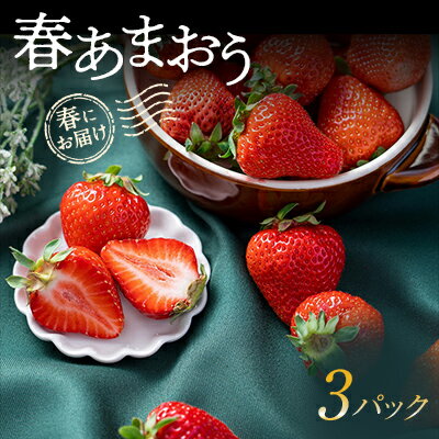 春にお届け!福岡産はるあまおう 3パック _ あまおう いちご 苺 イチゴ 冷蔵 ギフト プレゼント 贈り物 送料無料 