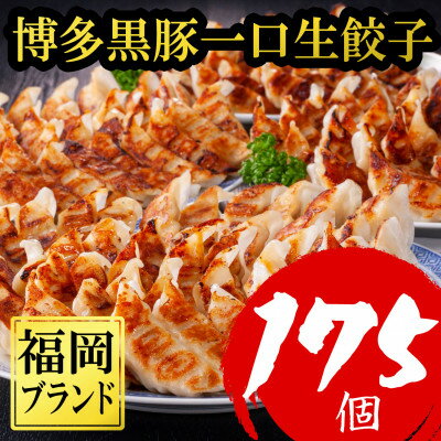 【ふるさと納税】 【令和6年1月中に終了】【訳あり175個】【福岡ブランド】博多黒豚一口生餃子ラー麦皮(大野城市) 餃子 一口餃子 福岡ブランド 送料無料 【配送不可地域：離島】【1382081】のサムネイル