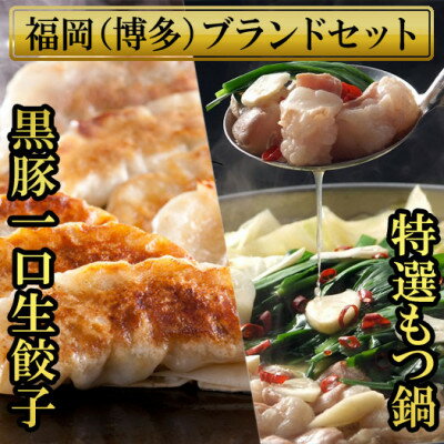 【ふるさと納税】博多黒豚一口生餃子(3パック分け75個)ともつ鍋(2.5人前) 少人数様向け福岡ブランドセット【配送不可地域：離島】【1439460】のサムネイル