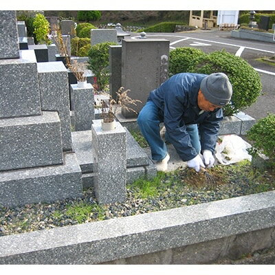 �ڤդ뤵��Ǽ�ǡ�ʡ���������⡡�����������ԥ����ӥ�(1��ʬ:��Ȼ���60ʬ)��1072413��