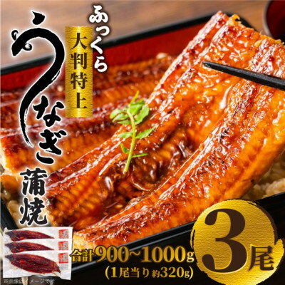 【ふるさと納税】ふっくら大判特上うなぎ蒲焼 計約900〜1000g(約320g×3尾)【配送不可地域:離島】【1646345】