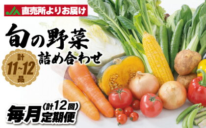 【定期便／年12回／毎月お届け】むなかた旬の野菜お任せセット 11〜12品【ほたるの里】_HB0027 送料無料