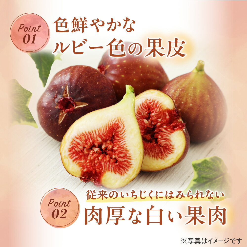 福岡県宗像市の画像3