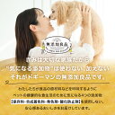 福岡県宗像市の画像2