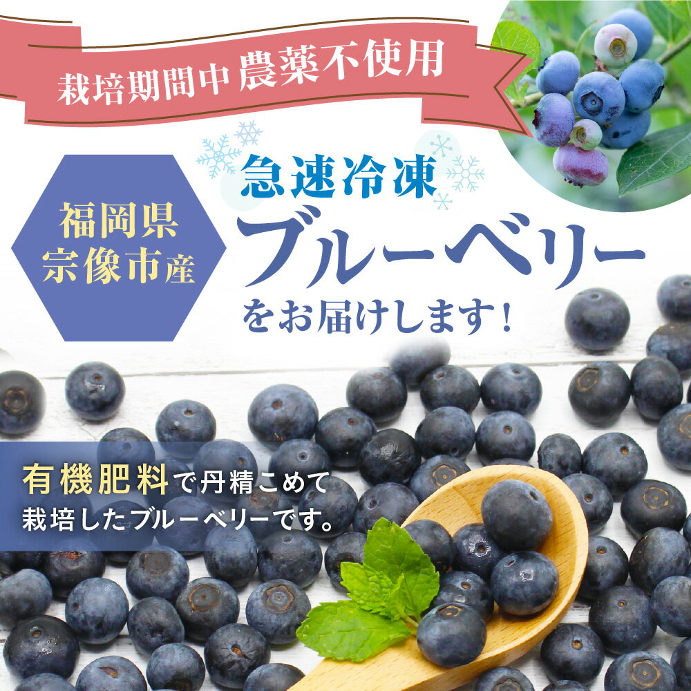 福岡県宗像市の画像2