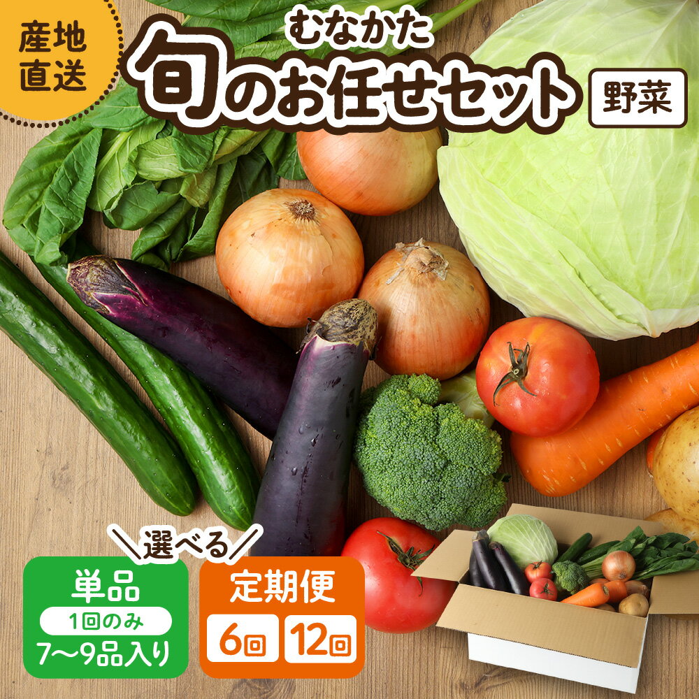 [レビューCP対象][1回お届け/定期便]むなかた旬のお任せセット ( 野菜 ) 7〜9品[JAほたるの里]_HA1569 送料無料 お野菜 野菜 旬 セット 詰め合わせ お楽しみ 季節 新鮮 産直 福岡県 宗像市
