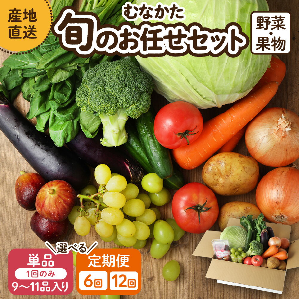 【ふるさと納税】【レビューCP対象