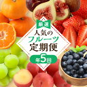 【ふるさと納税】【定期便/年5回】JAむなかた厳選!人気フルーツ定期便【JAむなかた ほたるの里】_HB0164 送料無料いちご あまおう すもも いちじく シ...