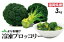 【ふるさと納税】JAむなかたブロッコリー部会より!冷凍ブロッコリー3kg(1kg×3袋)【ほたるの里】_KA0623 送料無料 14,000円