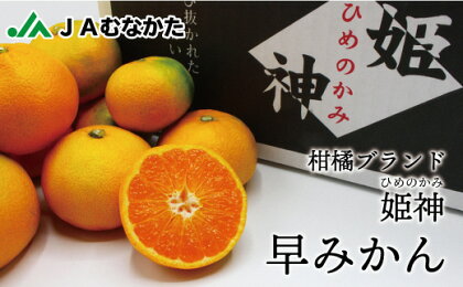 旬のミカンをお届け！JAむなかたブランド姫の神「早味かん」5kg【JAほたるの里】_HA0887 送料無料