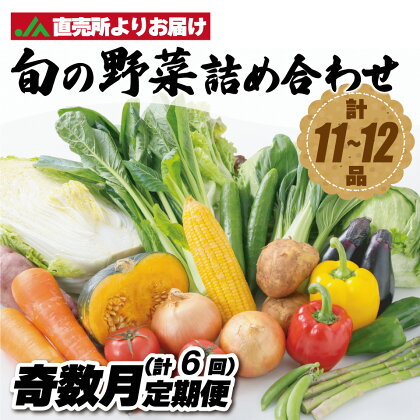 【定期便／年6回／奇数月お届け】むなかた旬の野菜お任せセット（11〜12品）【ほたるの里】_HB0026 送料無料