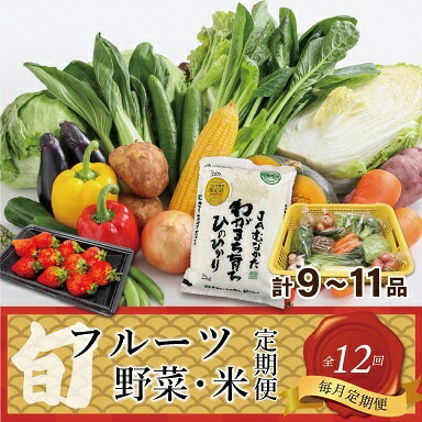 【定期便／年12回／毎月お届け】むなかた旬のお任せセット(野菜・フルーツ・お米／9〜11品)【ほたるの里】_HB0029　送料無料