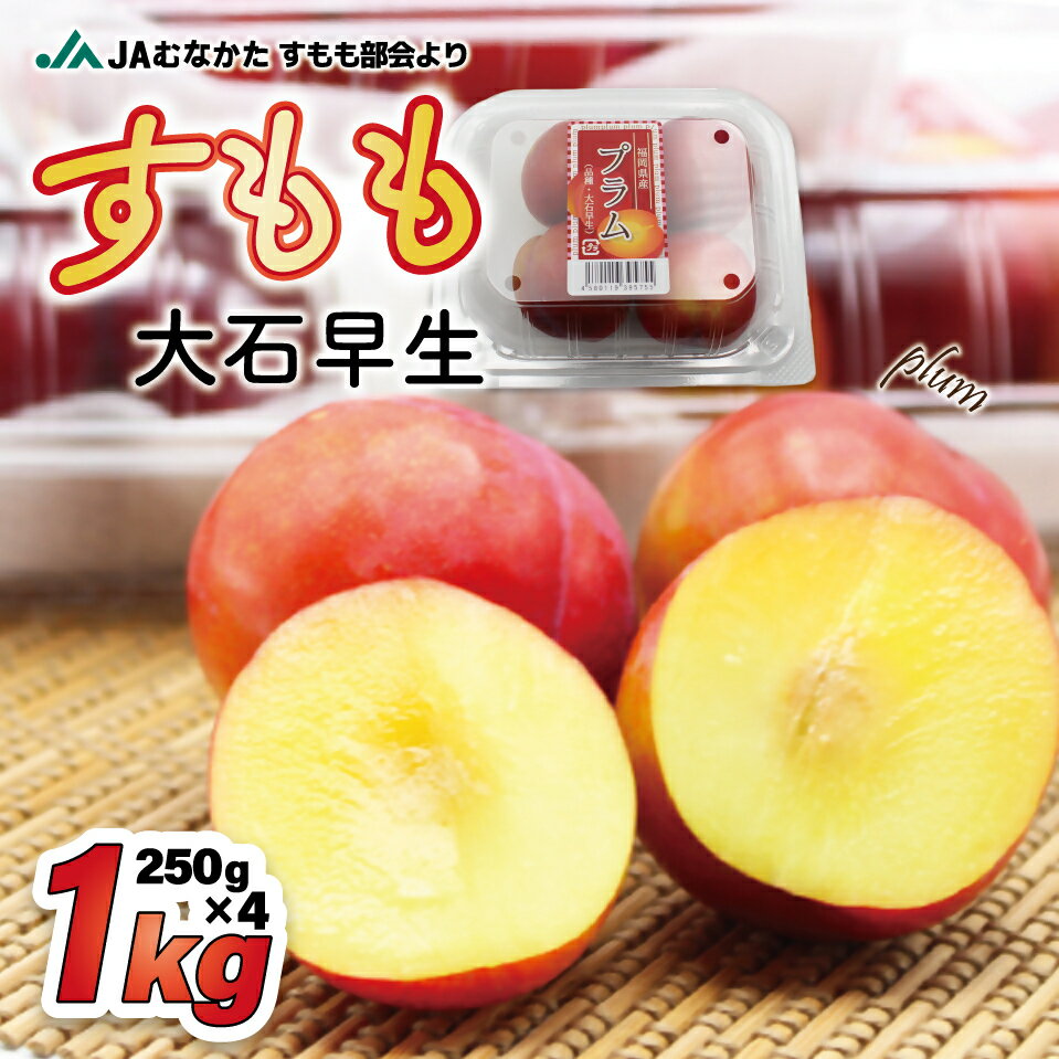 ڤդ뤵ǼǡJAʤ ꡡ()1kg(250g4ѥå)ڤۤΤ_HA1254 ̵