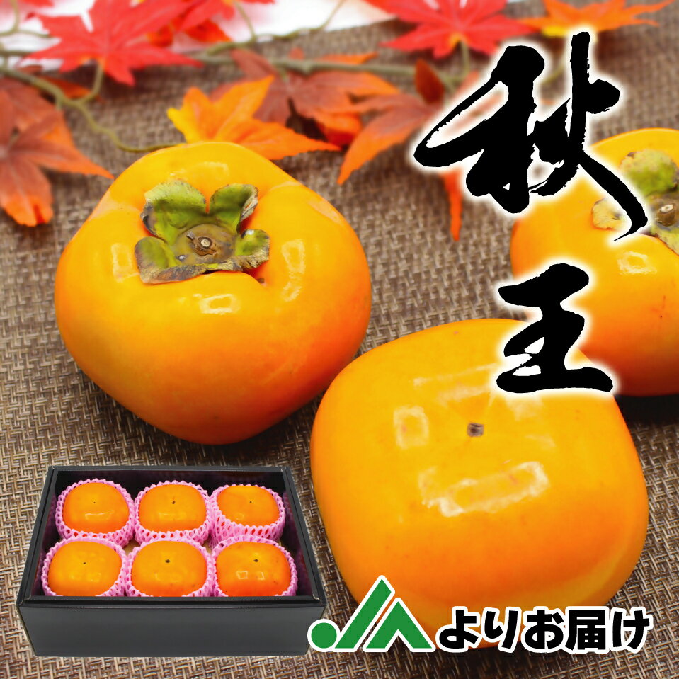 福岡県ブランド柿「秋王」化粧箱約1.75kg[JAほたるの里]_HA1318 送料無料