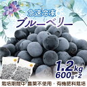 有機栽培・栽培期間中農薬不使用！急速冷凍ブルーベリー 1.2kg _KA0957