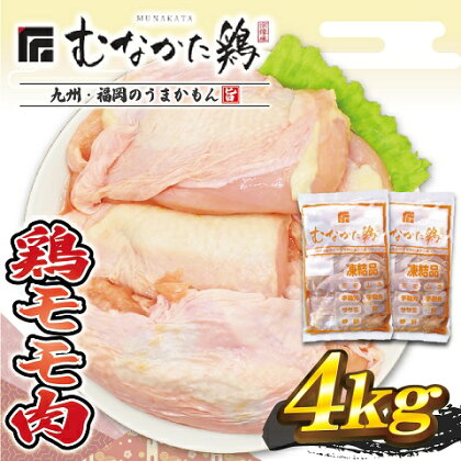 宗像産ブランド鶏【むなかた鶏】モモ肉4kg（平飼い）【JAほたるの里】_HA1416