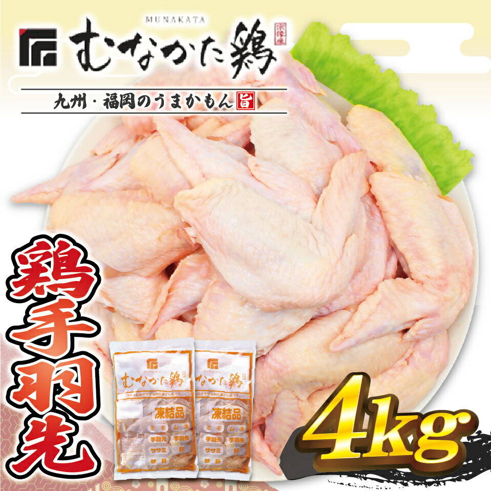 【ふるさと納税】宗像産ブランド鶏【むなかた鶏】手羽先4kg（