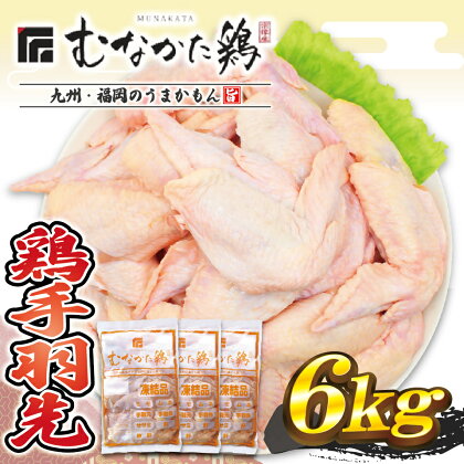 宗像産ブランド鶏【むなかた鶏】手羽先6kg（平飼い）【JAほたるの里】_HA1421 送料無料