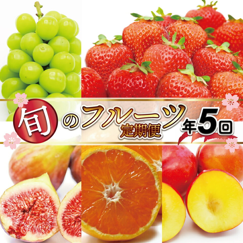 【ふるさと納税】【定期便/年5回】JAむなかた厳選！人気フルーツ定期便【JAむなかた ほたるの里】_HB0164　送料無料いちご あまおう すもも いちじく シャインマスカット みかん 旬の時期 おいしい 果物のサムネイル