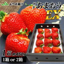 【ふるさと納税】<12月・1月発送>「博多あまおう」EX 贈答用化粧箱 約450g 1箱 / 2箱【ほたるの里】 いちご あかい まるい おおきい うまい 贈答用 家庭用 ご褒美 おやつ 果物 季節 フルーツ ご褒美 送料無料