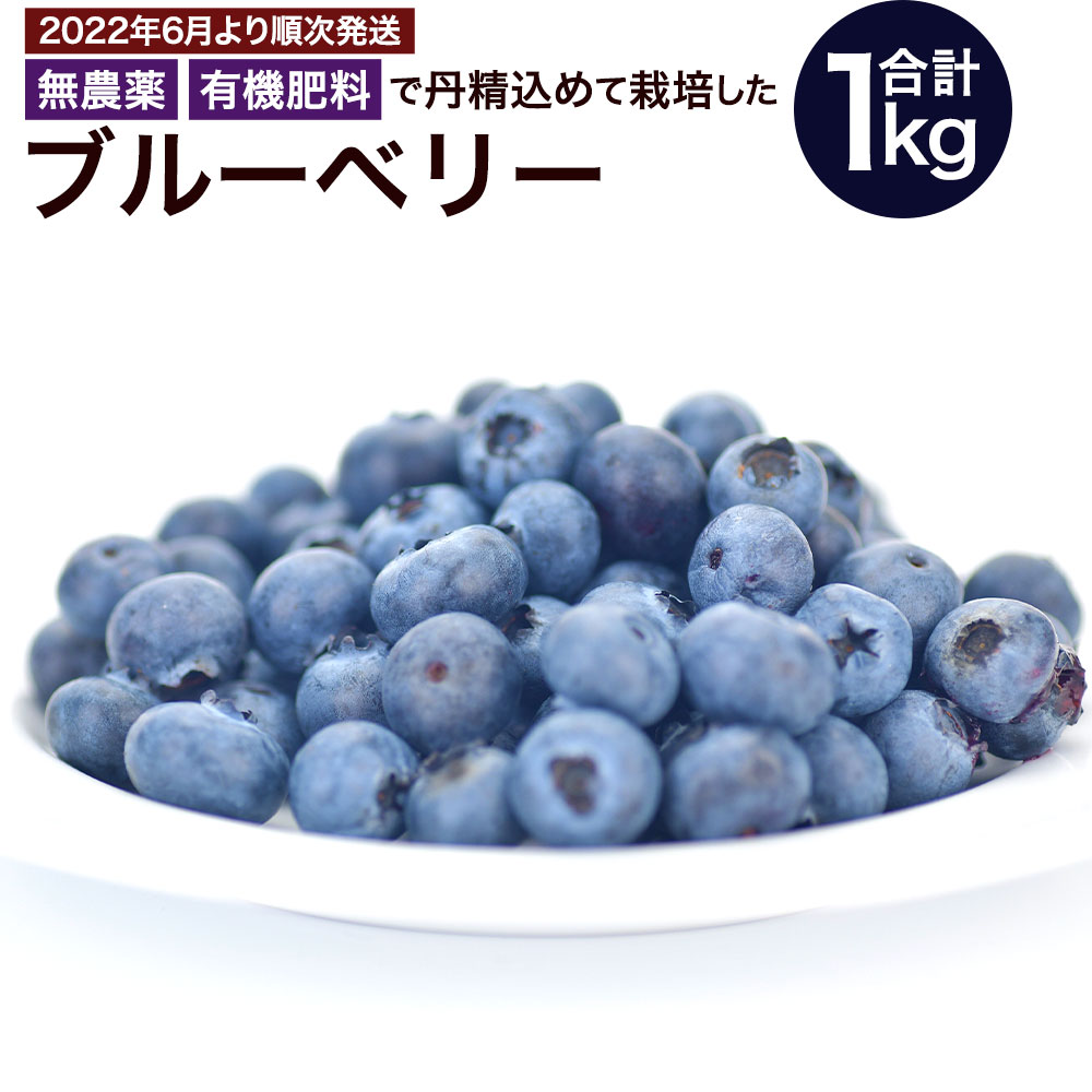 ふるさと納税 先行予約 国産 送料無料 期間限定 果物 ブルーベリー 生 フルーツ 1kg 数量限定