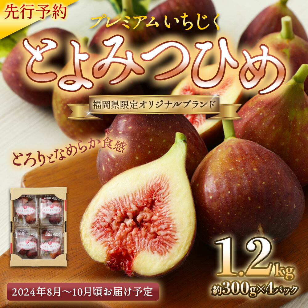 【ふるさと納税】プレミアムいちじく とよみつひめ 1.2kg HA0278 2024年収穫 先行予約 フルーツ 果物 いちじく 福岡県 宗像市 送料無料【2024年8月～10月お届け】