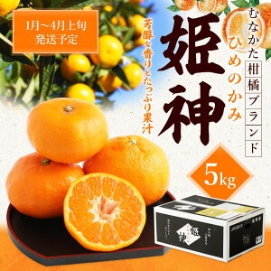 【ふるさと納税】旬のミカンをお届け！JAむなかた柑橘ブランド「姫の神」5kg 甘くておいしいみかん【2024年1月〜4月上旬発送】_KA0280 送料無料