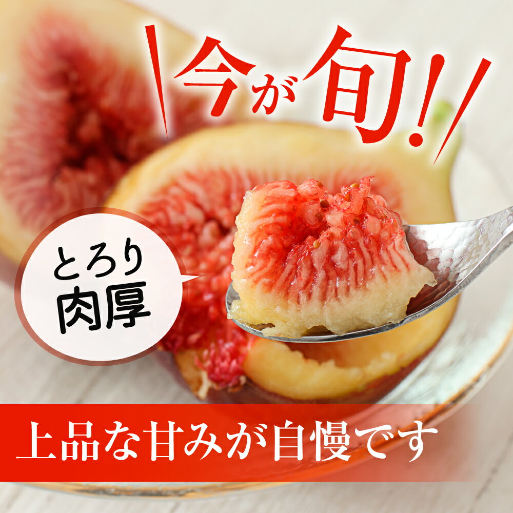 福岡県宗像市の画像3