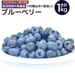 【ふるさと納税】栽培期間中無農薬・有機肥料で丹精込めて栽培した「ブルーベリー」1kg【2024年収穫】_HA0273