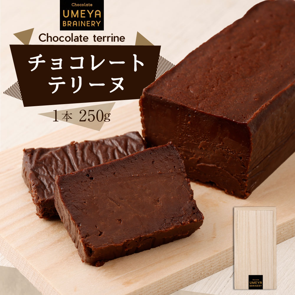 【ふるさと納税】チョコレートテリーヌ【UMEYA BRAINERY】_ HA0123 送料無料