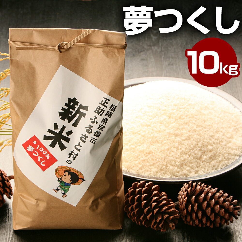 【ふるさと納税】KA0377_【数量限定】令和2年産 新米 夢つくし 10kg 5k...